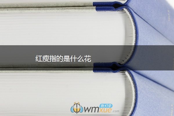 红瘦指的是什么花