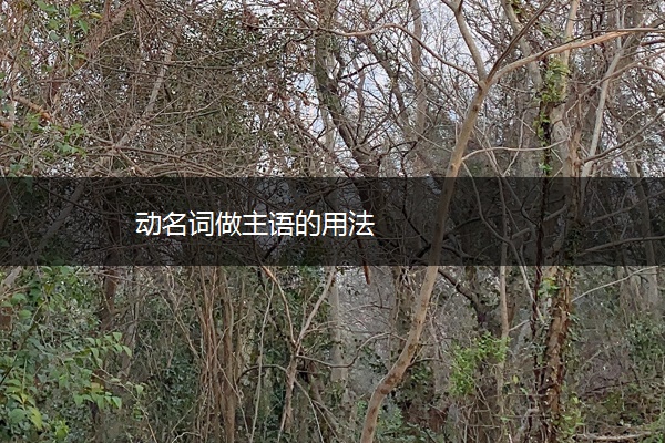 动名词做主语的用法
