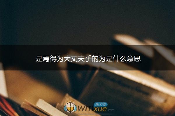 是焉得为大丈夫乎的为是什么意思