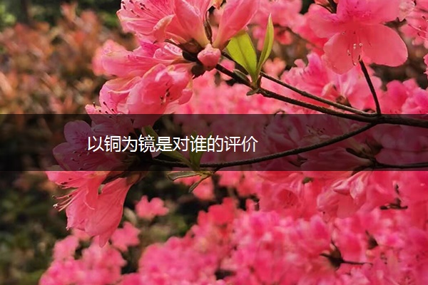 以铜为镜是对谁的评价