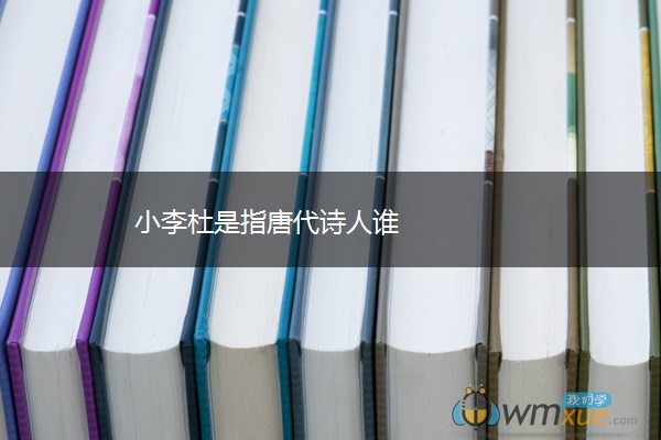 小李杜是指唐代诗人谁