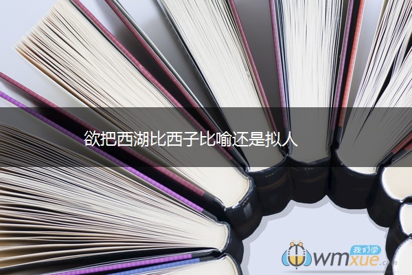 欲把西湖比西子比喻还是拟人