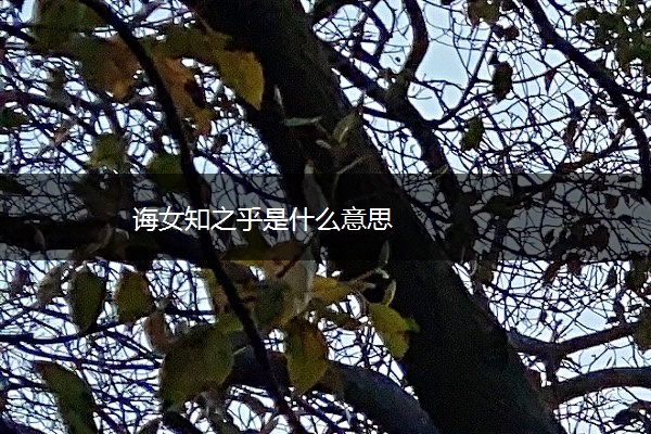 诲女知之乎是什么意思