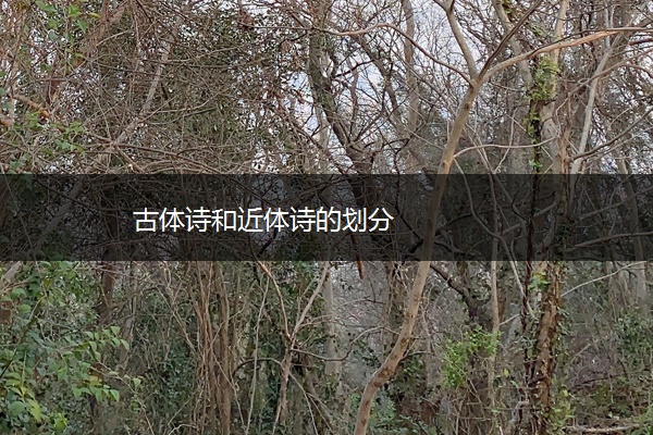 古体诗和近体诗的划分