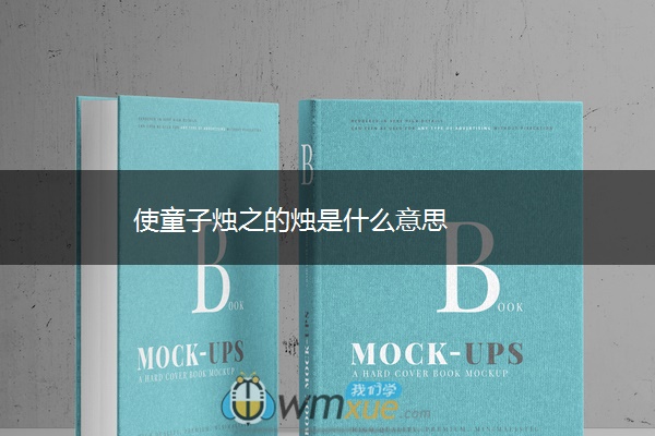 使童子烛之的烛是什么意思