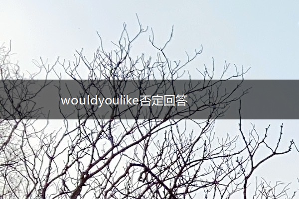 wouldyoulike否定回答