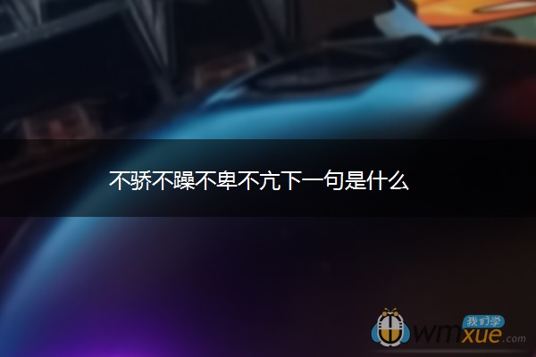 不骄不躁不卑不亢下一句是什么