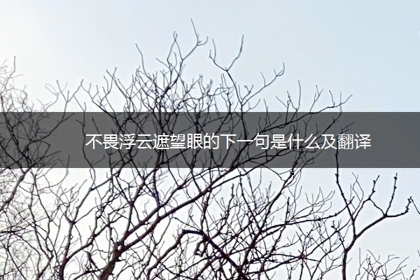 不畏浮云遮望眼的下一句是什么及翻译