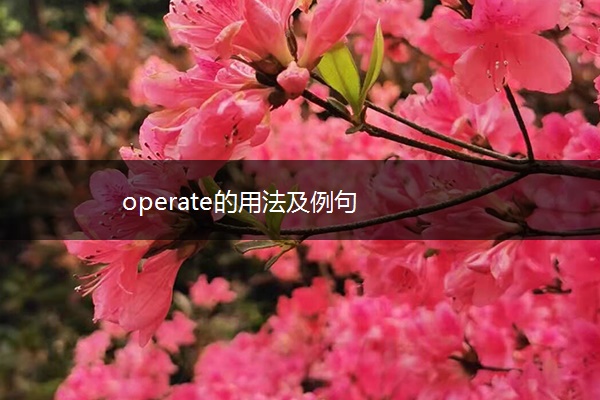 operate的用法及例句