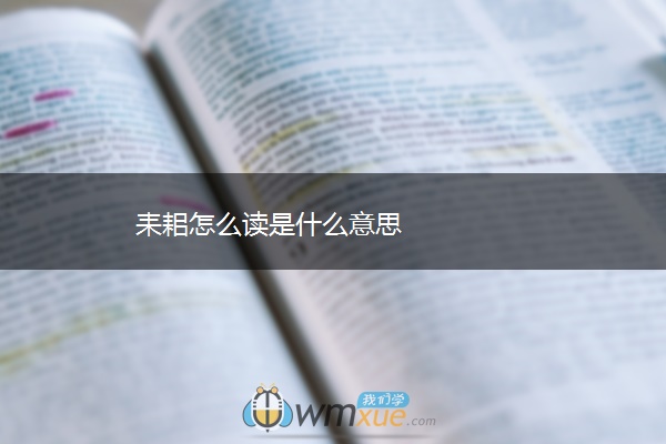 耒耜怎么读是什么意思