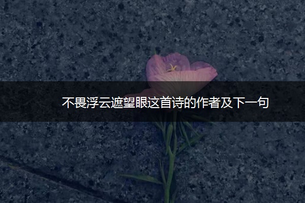 不畏浮云遮望眼这首诗的作者及下一句