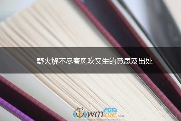 野火烧不尽春风吹又生的意思及出处