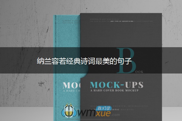 ​纳兰容若经典诗词最美的句子