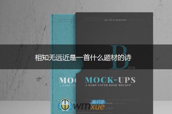 相知无远近是一首什么题材的诗