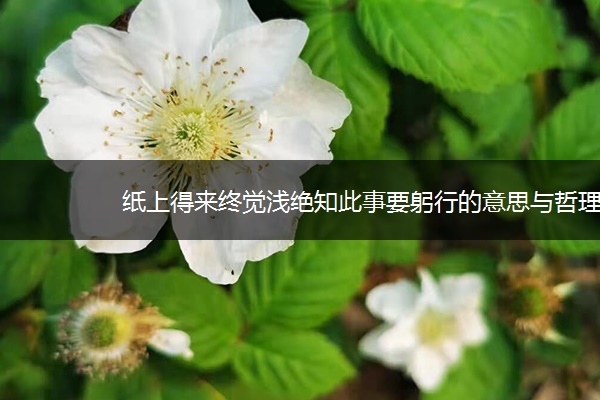 纸上得来终觉浅绝知此事要躬行的意思与哲理