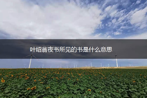 叶绍翁夜书所见的书是什么意思