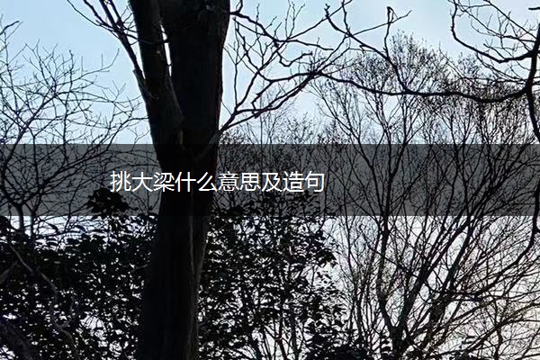 挑大梁什么意思及造句