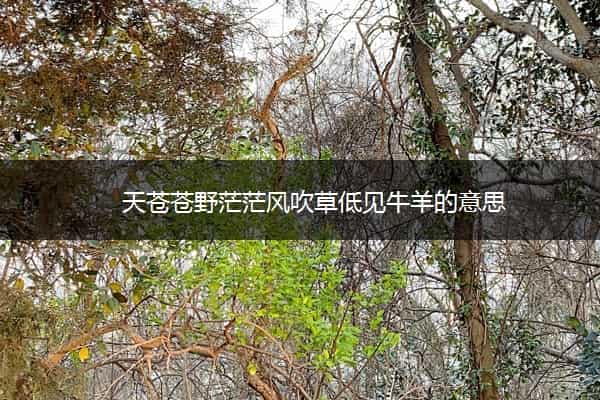 天苍苍野茫茫风吹草低见牛羊的意思