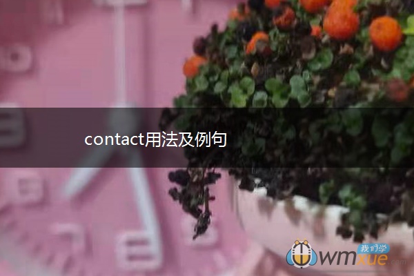 contact用法及例句