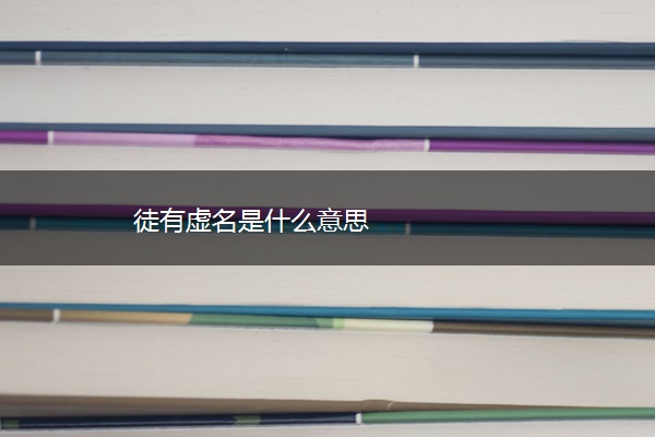 徒有虚名是什么意思