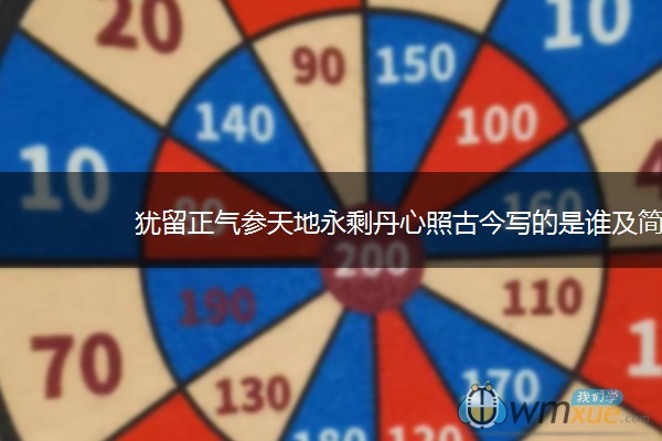 犹留正气参天地永剩丹心照古今写的是谁及简介