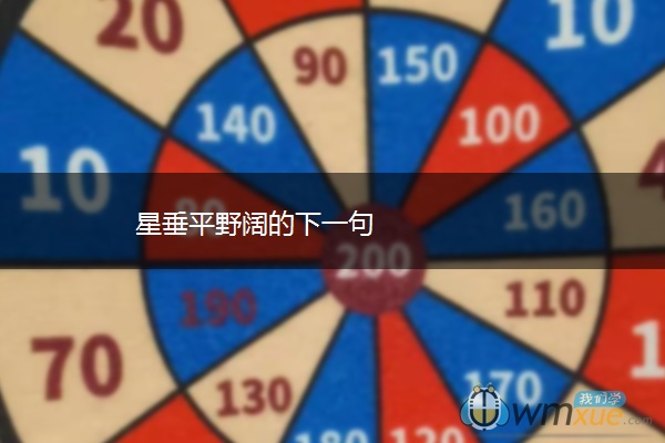 星垂平野阔的下一句