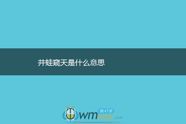 井蛙窥天是什么意思
