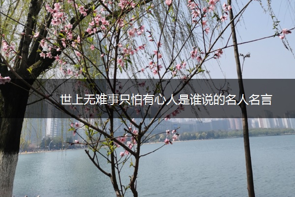 世上无难事只怕有心人是谁说的名人名言