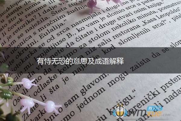 有恃无恐的意思及成语解释