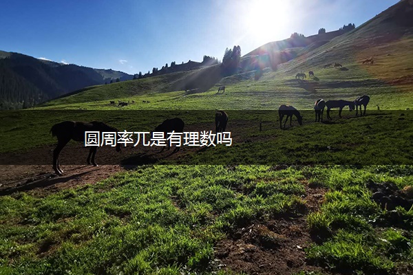 圆周率兀是有理数吗