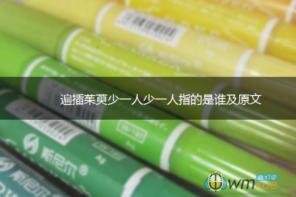 遍插茱萸少一人少一人指的是谁及原文
