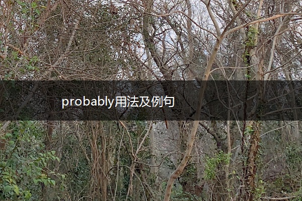 probably用法及例句
