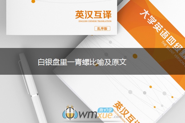 白银盘里一青螺比喻及原文