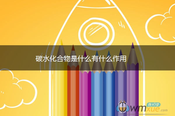 碳水化合物是什么有什么作用