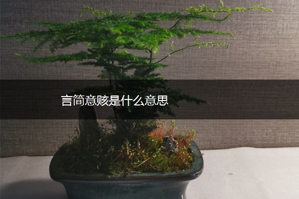 言简意赅是什么意思