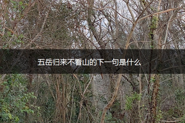 五岳归来不看山的下一句是什么