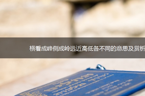 横看成峰侧成岭远近高低各不同的意思及赏析