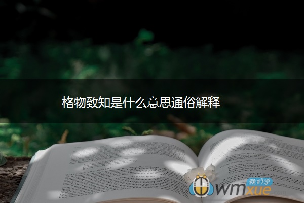 格物致知是什么意思通俗解释