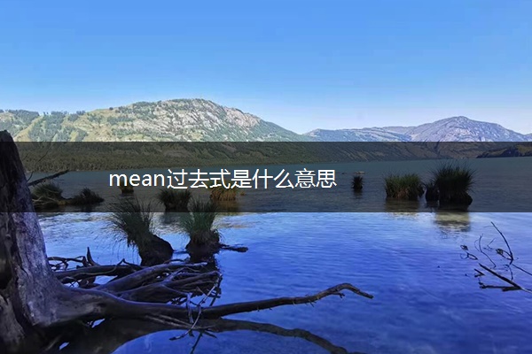 mean过去式是什么意思