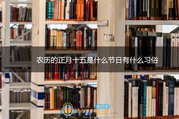 农历的正月十五是什么节日有什么习俗