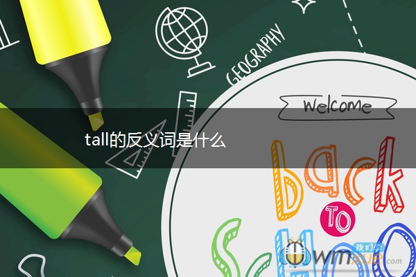 tall的反义词是什么