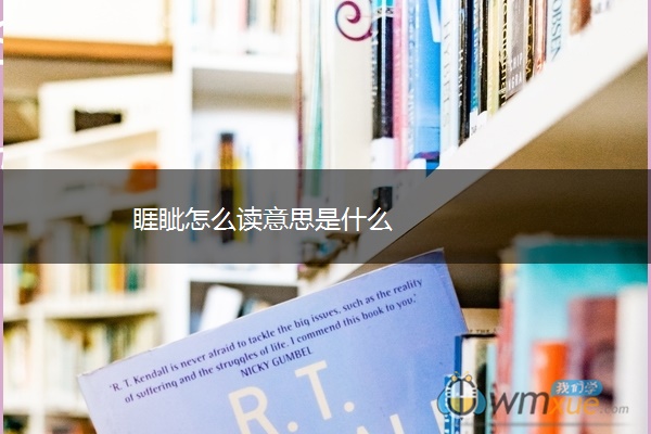 睚眦怎么读意思是什么