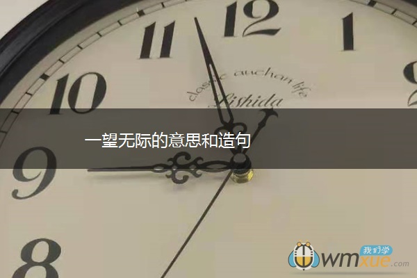 一望无际的意思和造句