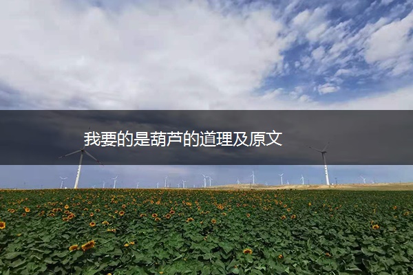 我要的是葫芦的道理及原文