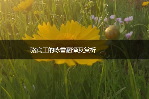 骆宾王的咏雪翻译及赏析