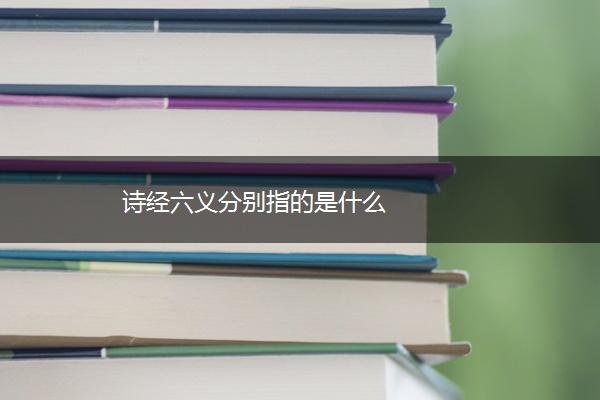 诗经六义分别指的是什么