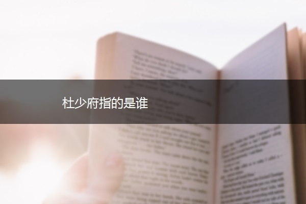 杜少府指的是谁