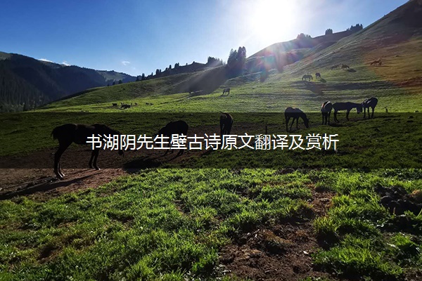 书湖阴先生壁古诗原文翻译及赏析