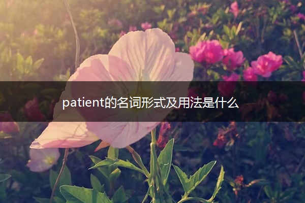 patient的名词形式及用法是什么