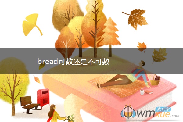 bread可数还是不可数